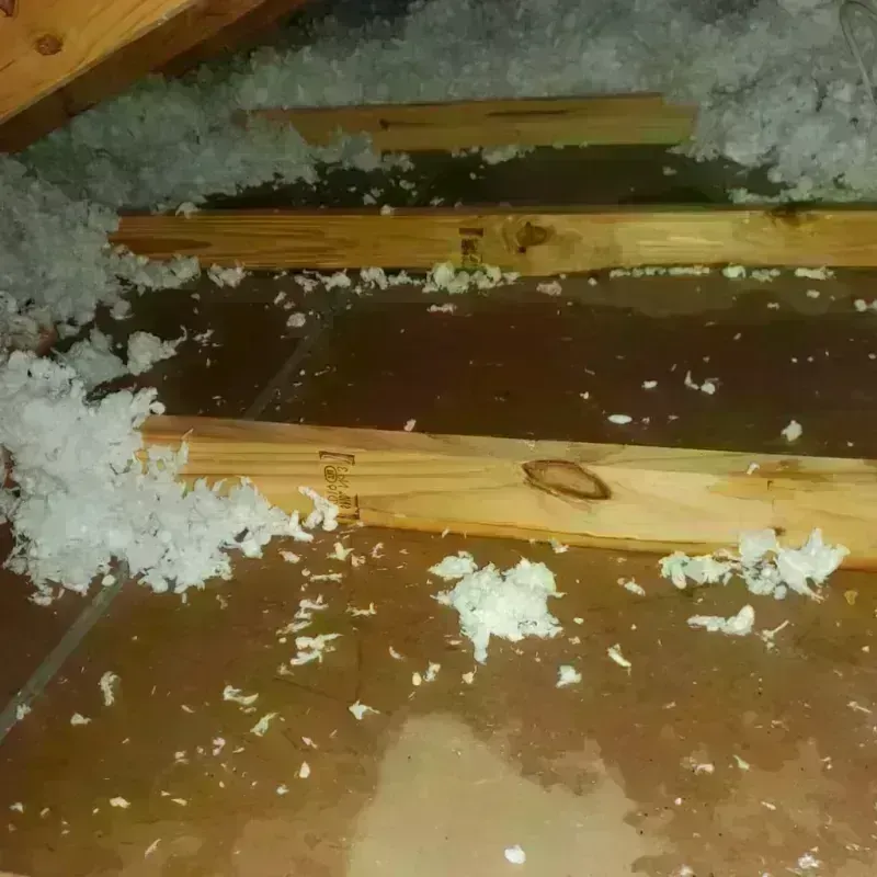 Attic Water Damage in Butler, PA